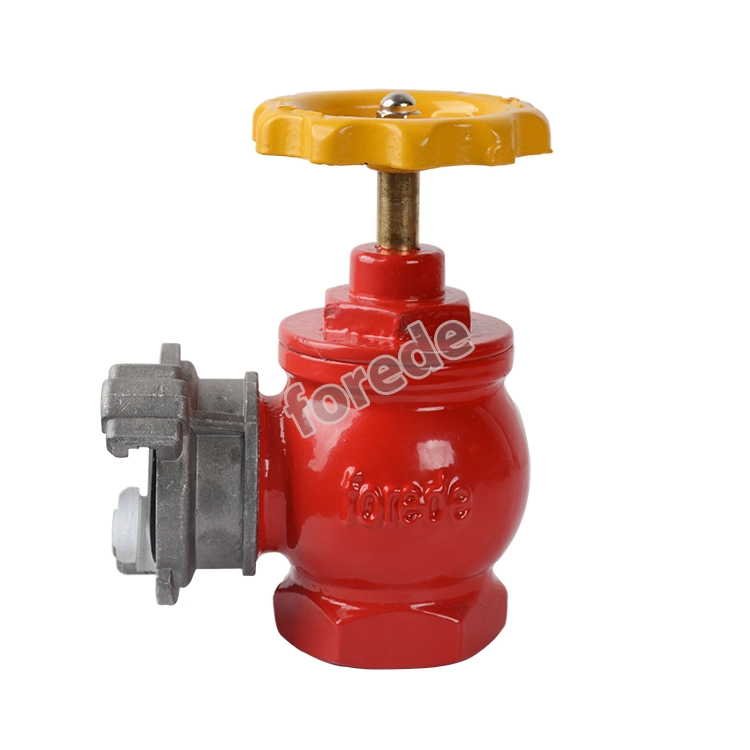 Fforede Hot Sale Ductile Iron Indoor Fire Hydrant Cost