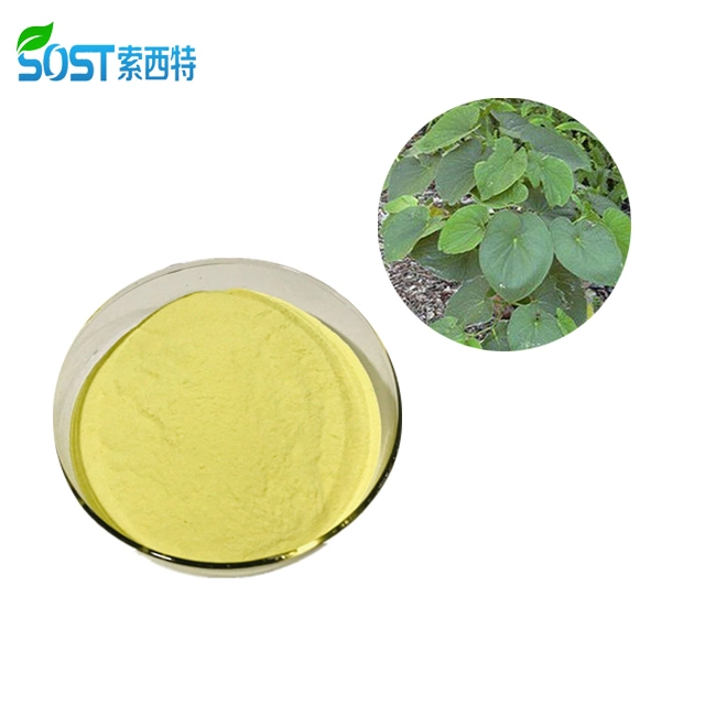 SOST Wholesale Plant Extract Kava Kava Root Powder Capsules