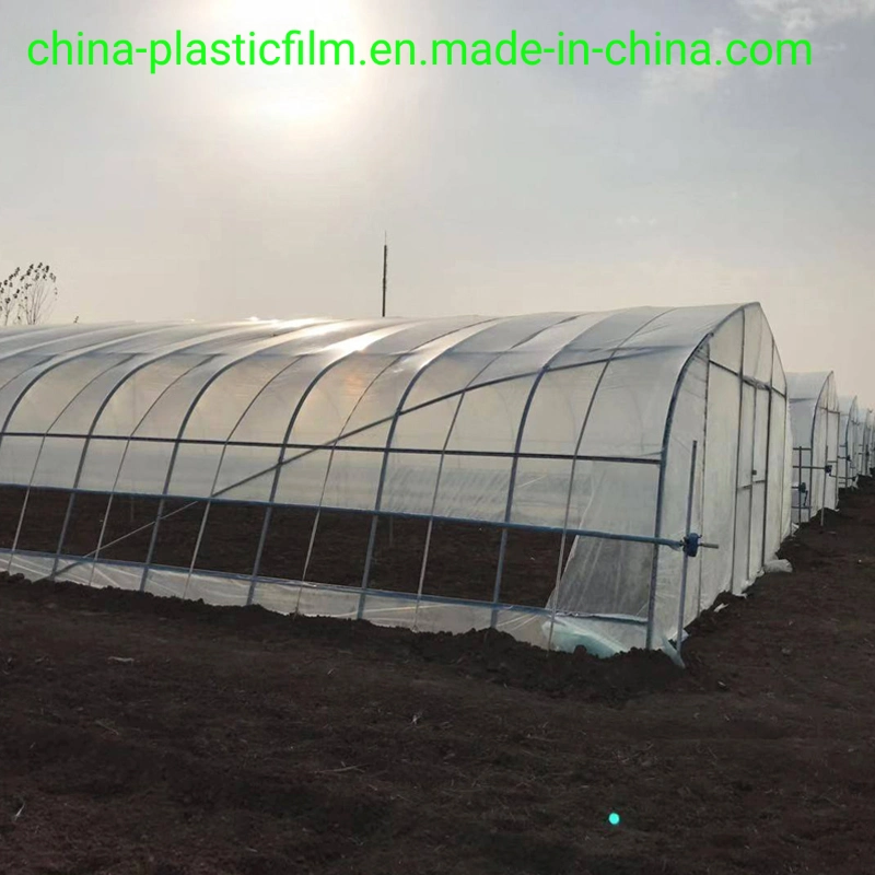 Multi-Span Plastic Film Greenhouse Tomato Greenhouse and Strawberry Greenhouse Turnkey Project