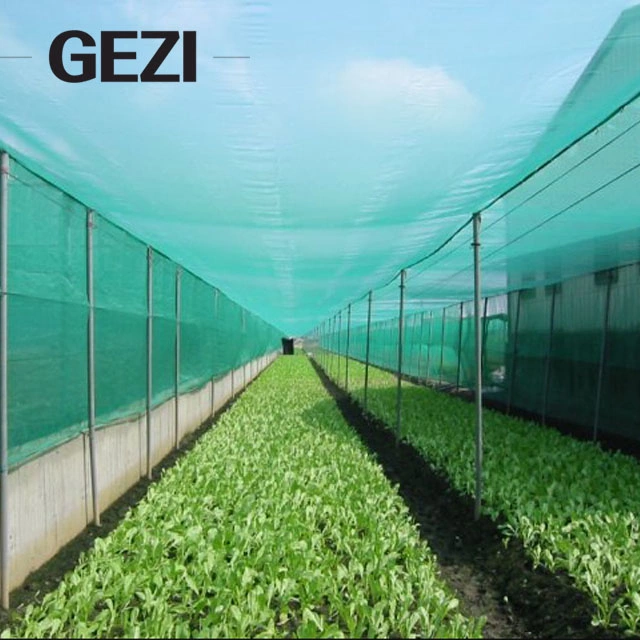 UV 80 Mesh Anti Insect Net Agriculture Netting