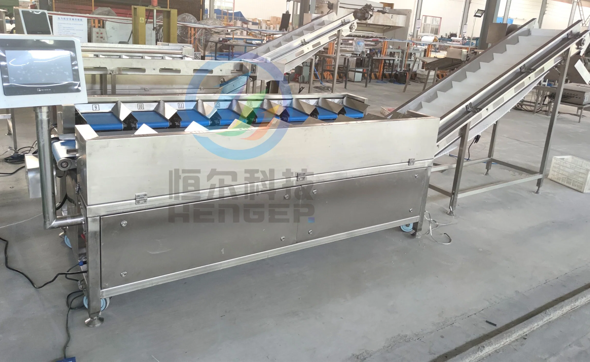 Professional Specialized Factorial Belt Conveyor Scale