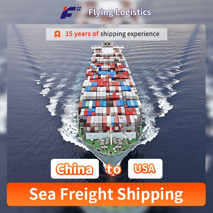 International Sea Freight Shipping Agent From China to USA Logistics Service