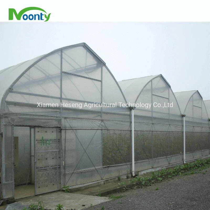 Cheap Multispans Film Agricultural Greenhouse Automatic Modern Plastic Green House with Hydroponics Grow System for Farm