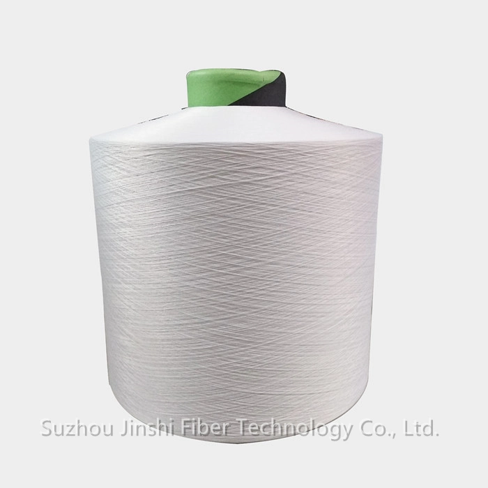 70d Aatcc Standard Antibacterial and Anti-Acarien Functional Nylon 6 Yarn for Socks and Elastic Fabric Antibacterial Fabric