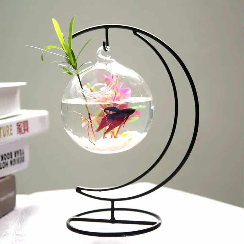 Wholesale/Supplier Clear Hanging Craft Terrarium Ball