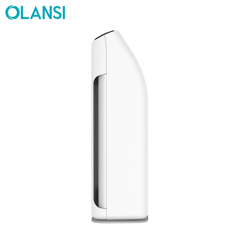 Olansi Wholesale/Supplier Air Purifier Cleaner Ionizer Module for Home Use