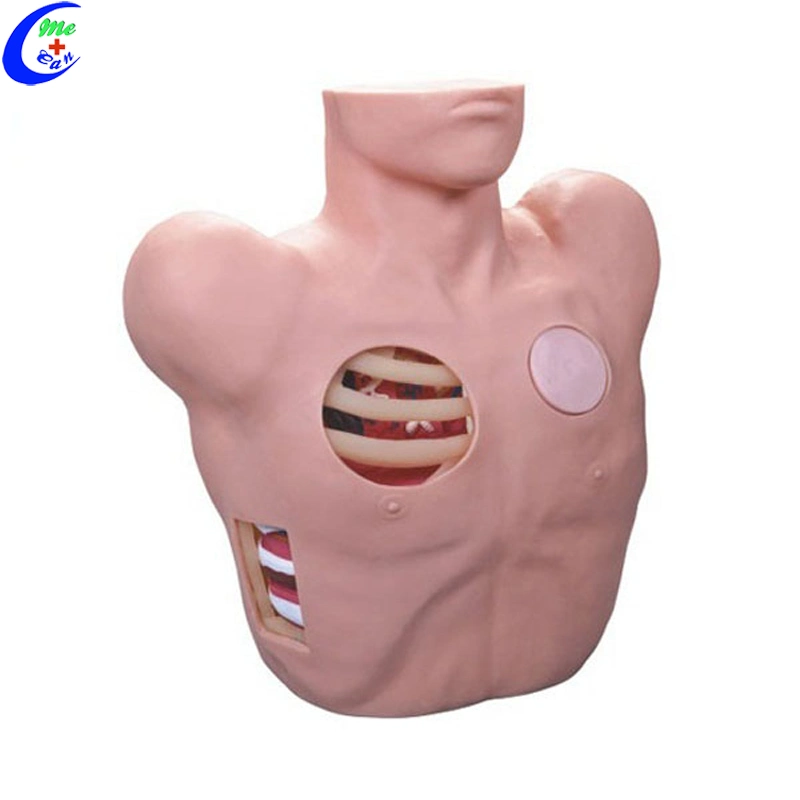 Chest Tube Thoracostomy Trauma Manikin