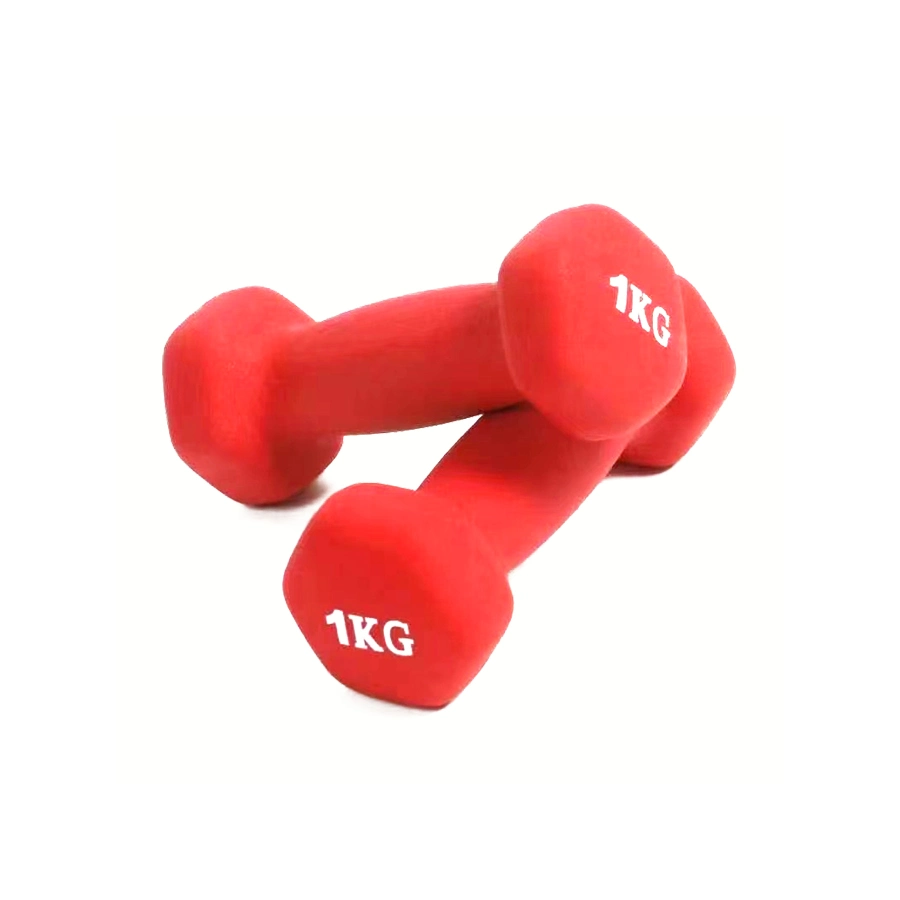 Hot Sale Eco-Friendly Color Neoprene DIP Plastic Hex Dumbbell Set Gym Equipment