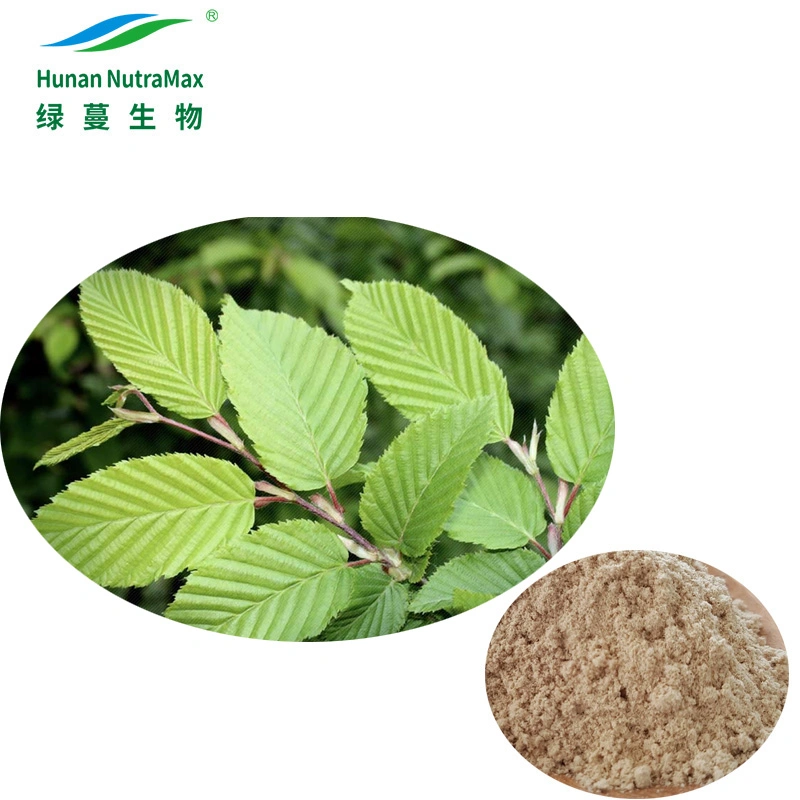 Pure Slippery Elm Bark Extract Powder