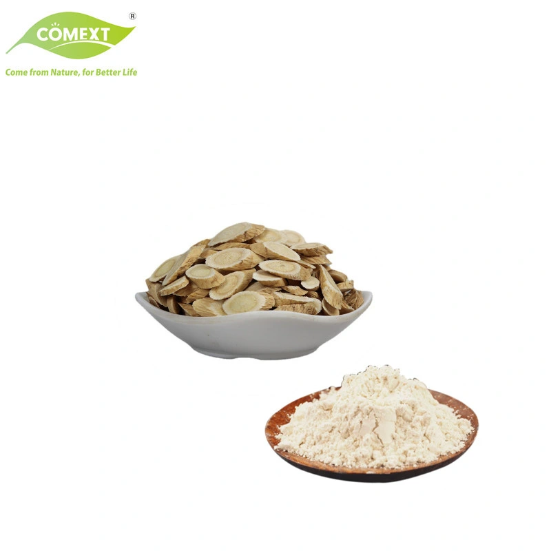 Wholesale/Supplier Factory Supplement Free Sample 100% Natural Astragalus Root Extract