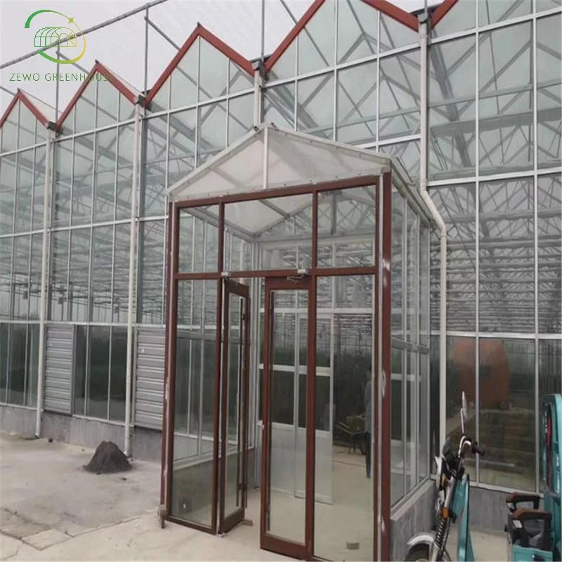 Venta caliente Agricultura moderna Hidropónicos Multispan-invernadero de vidrio con riego automático Sistema
