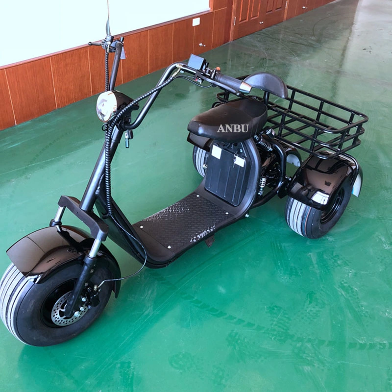 Wholesale/Supplier Factory Directly Fast Mobility Three Wheel Scooter Electrictricycle Side Car