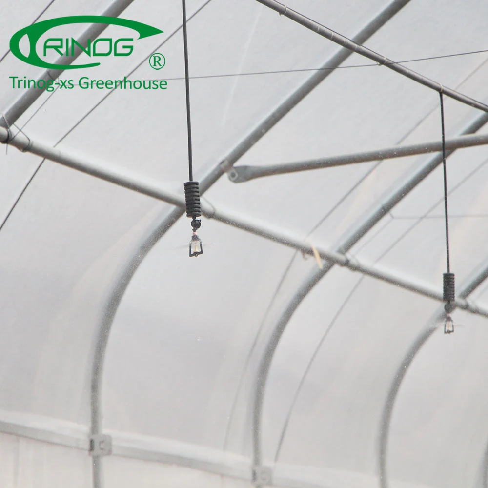 Commercial Large Plastic Single Span Film Green House