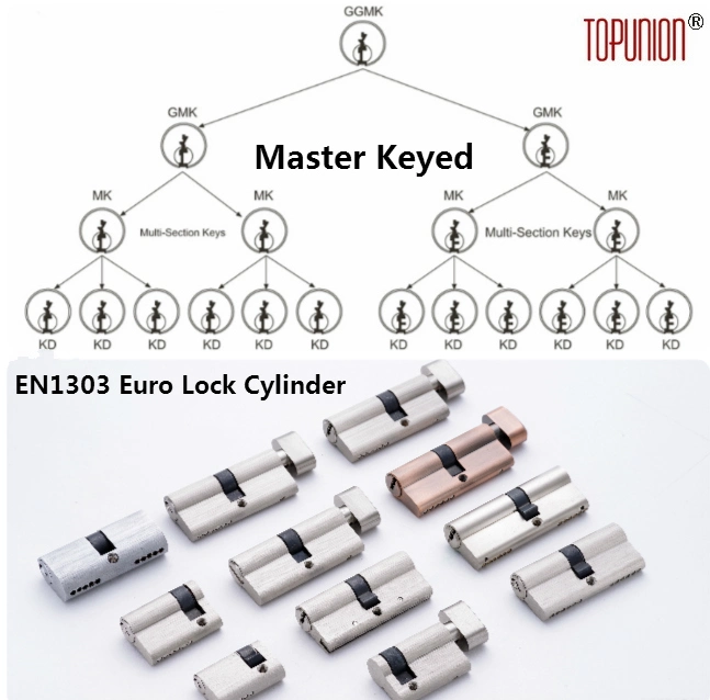 Euro Profile Brass Keys Mortise Solid Brass Door Lock Cylinder