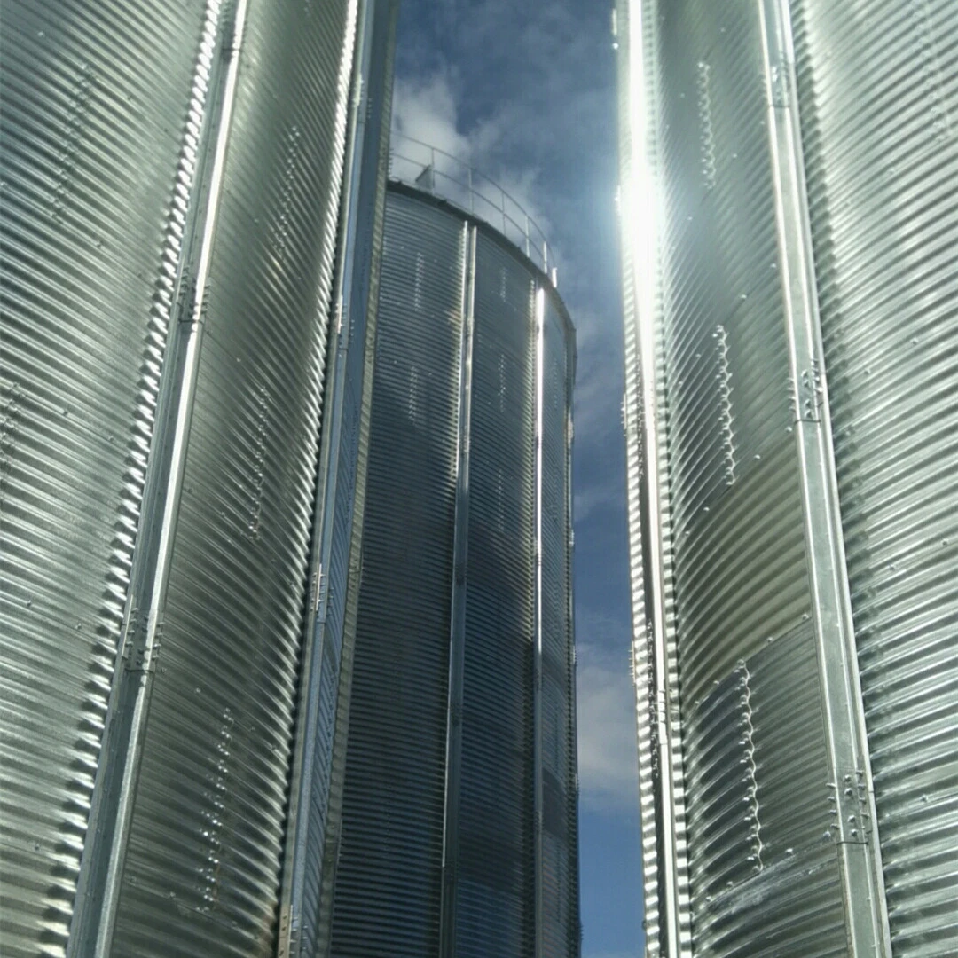 300t 500t 1000t 1500t 3000t Grain Silo for Sale