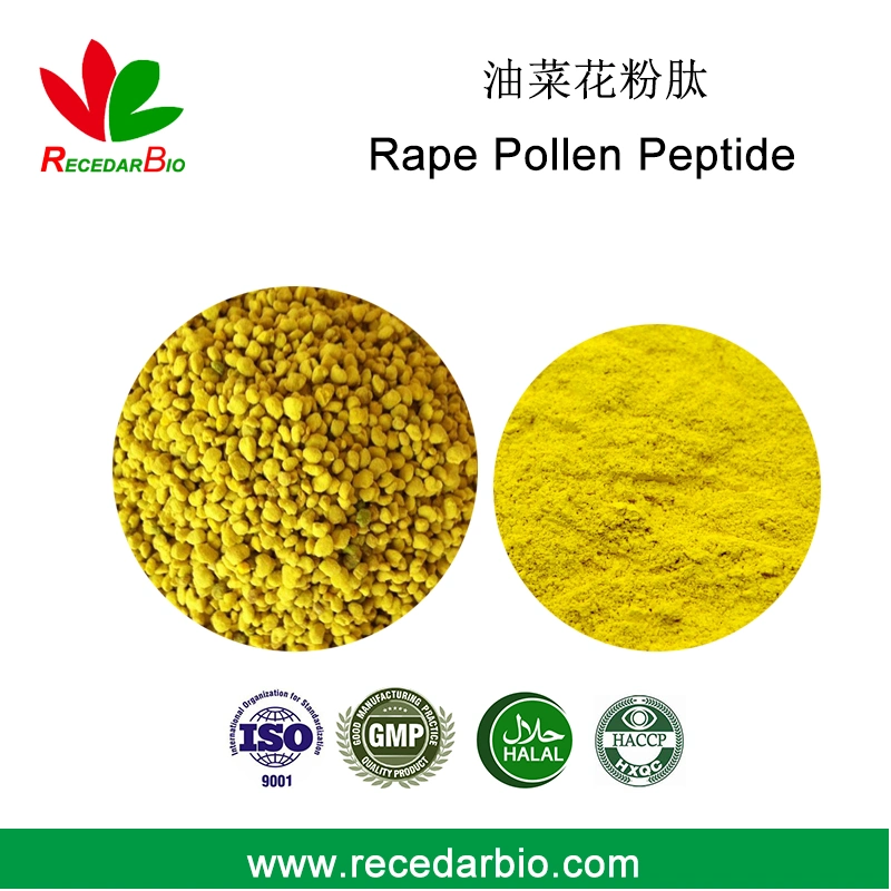 High quality/High cost performance Rape Pollen Protein Peptide Powder