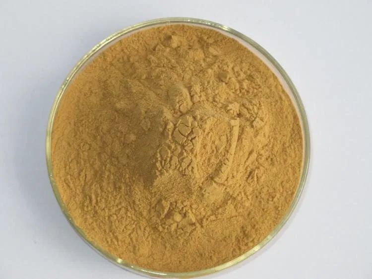 Astragalus extrato de raiz em pó 83207-58-3 Astragaloside a 5% a 98%