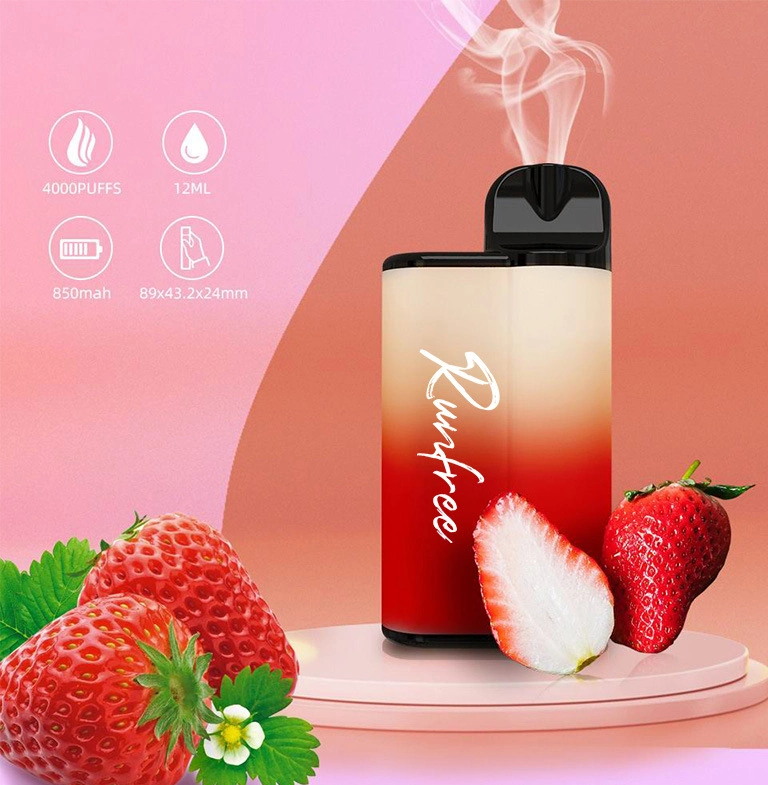 Wholesale E-Cigarette 4000 Puffs Fruit Flavor Disposable Cigarette Vape Shisha Shion Factory Price