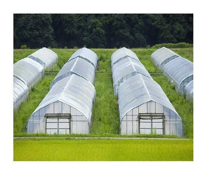 Windabweisende vorgefertigte One-Stop-Gartenabdeckung, einspan ETFE-Greenhouse-Folie Kunststoff-Rollenfolie