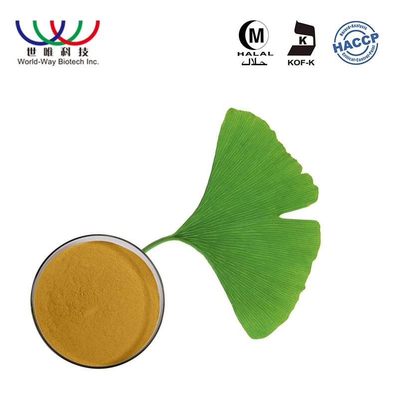 Factory Wholesale/Supplier Free Sample Natural 24%/6% Ginkgo Biloba Leaf Extract Powder