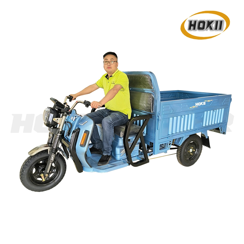 China Triciclo Hersteller produziert neues Design 1200W Motor Erwachsene verwenden Elektro-Cargo Dreirad 3 Rad zum Verkauf