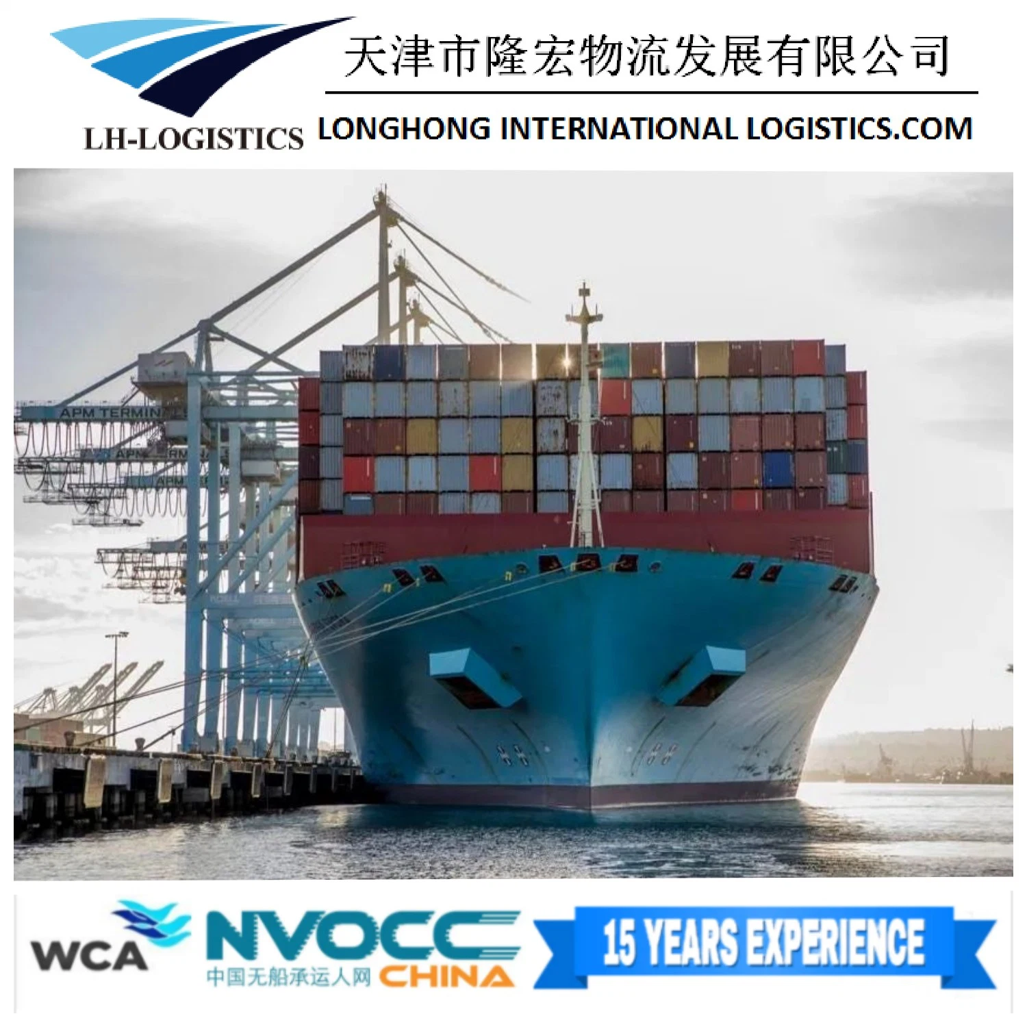 Haute efficacité China Shipping Agent /Sea Freight Shipping Logistics Service à la Russie Moscou St. Petersburg Logistics, Forwarder, Shipping