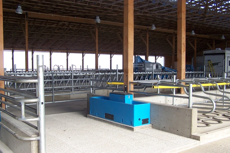 Different Size Customed Cattle Panel for Headlock Cow Freestall