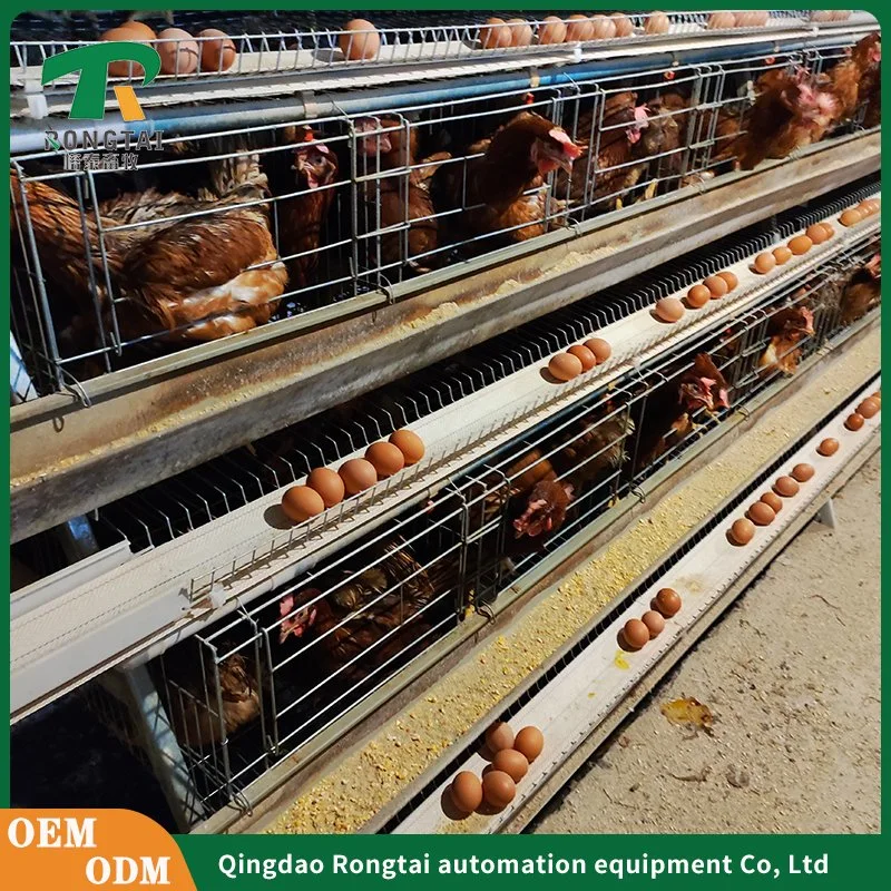 Hot DIP Galvanized Battery Poultry Farm a Frame Manual Layer Chicken Cage