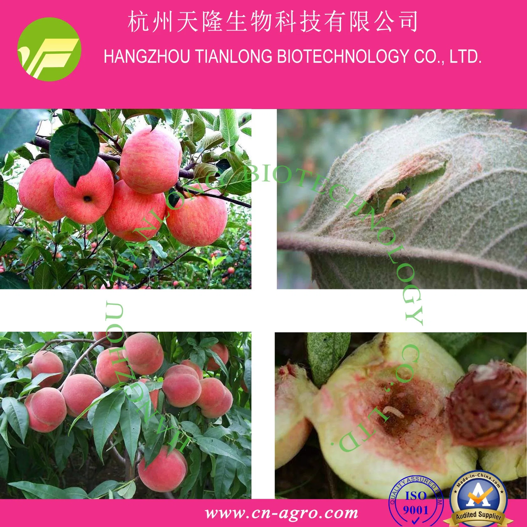 Insecticide molluscicides 5%g, 6%g, 10%G, 15%G