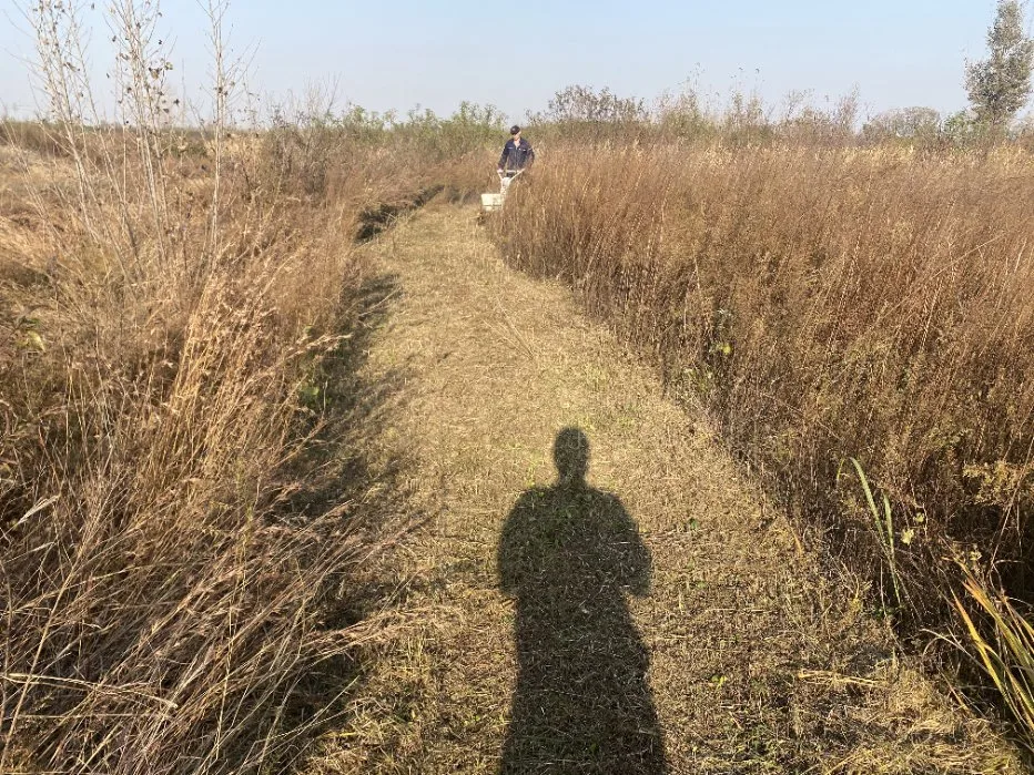 Benzin Benzin Raupenmäher Gras Rasenmäher Unkraut Cutter Gartenwerkzeug