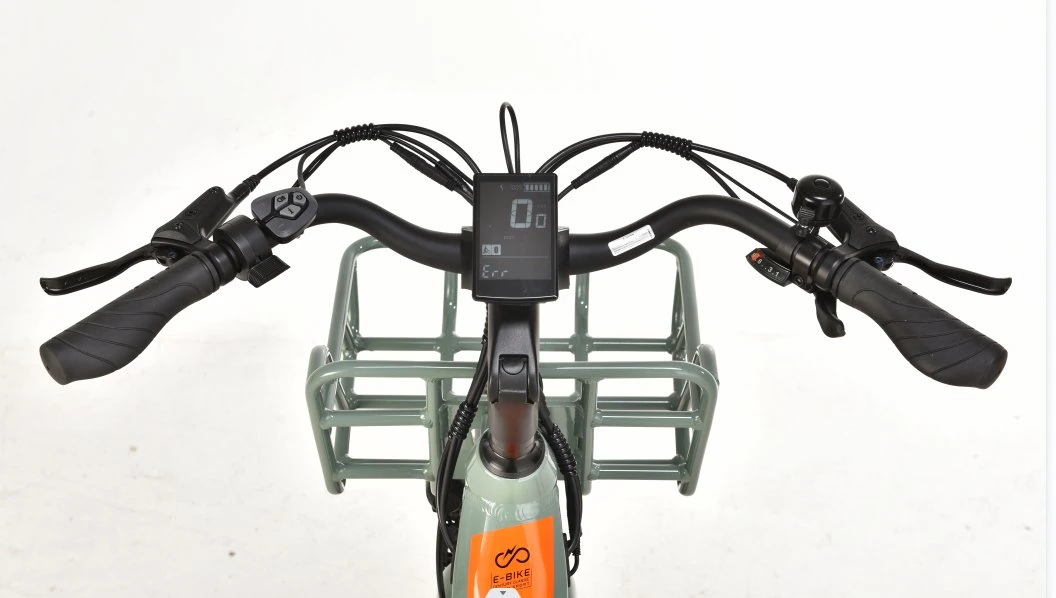 36V 250W/48V 500W MID-Motor 26inch bicicleta eléctrica cargo