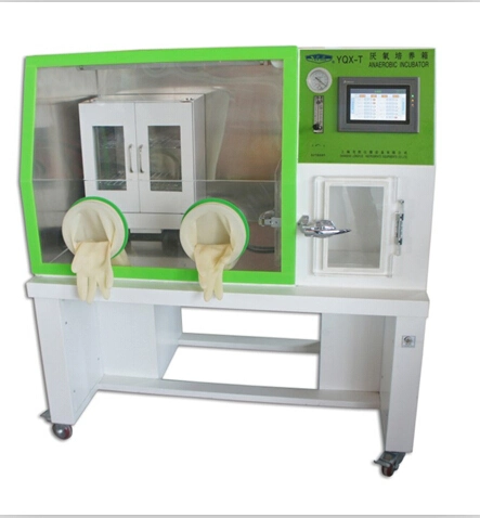 Med-L-Yqx-T anaerob Inkubator Labor Inkubator