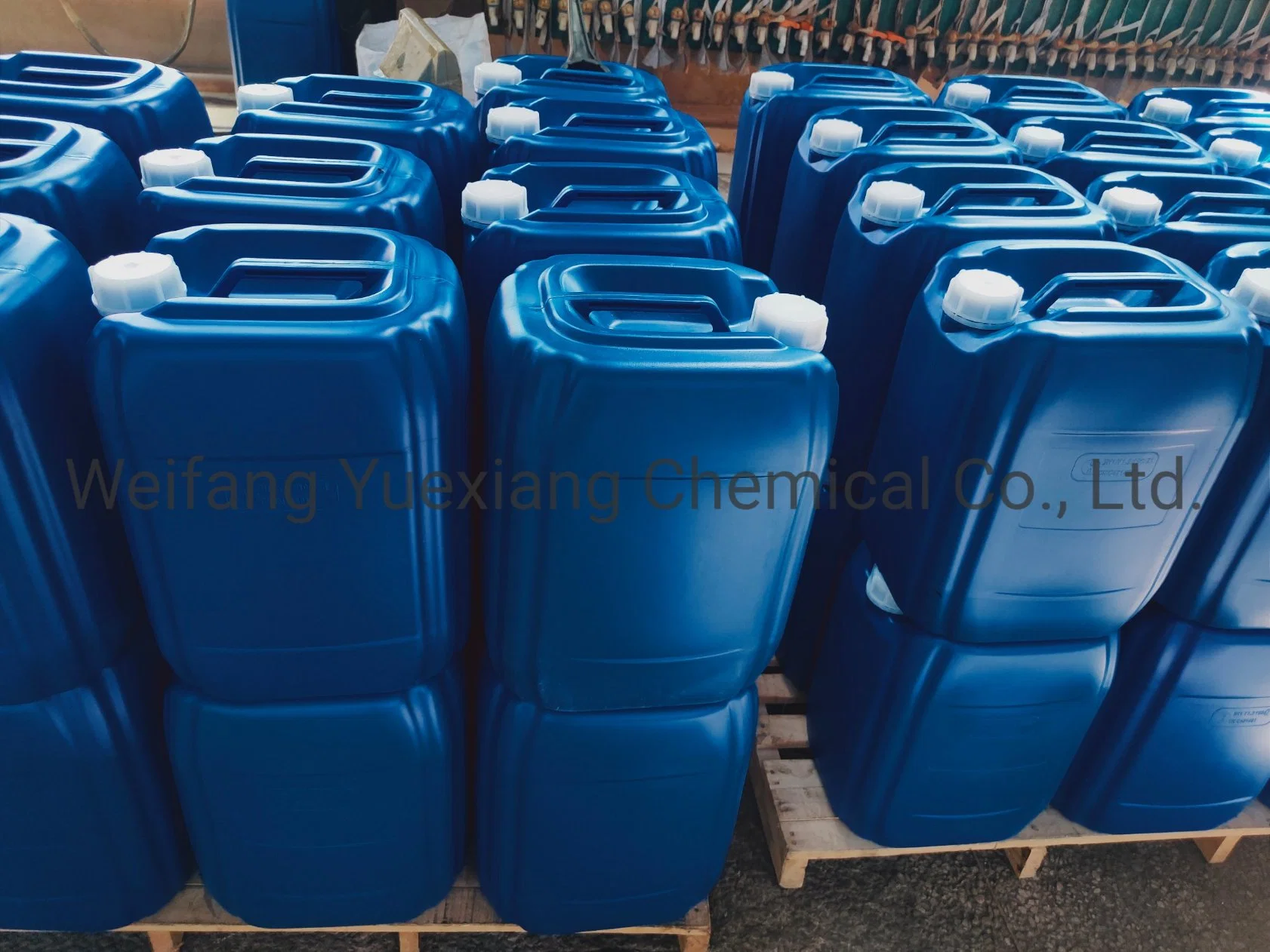 Organic Liquid Foliar Fertilizer or Solid Powder Form for Soilless Cultivation Flowers and Green Plants