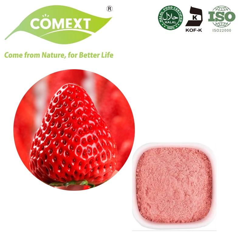 Hochwertiges Nop Zertifiziertes Bio Erdbeer Fruchtpulver