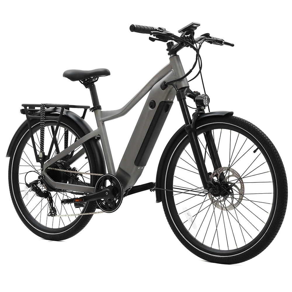 All Terrian Comuter Bike Ebike