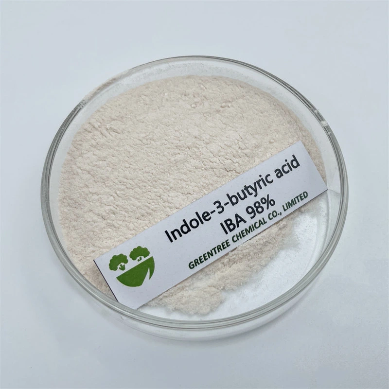 Powder High Quality Natural 3-Indolebutyric Acid