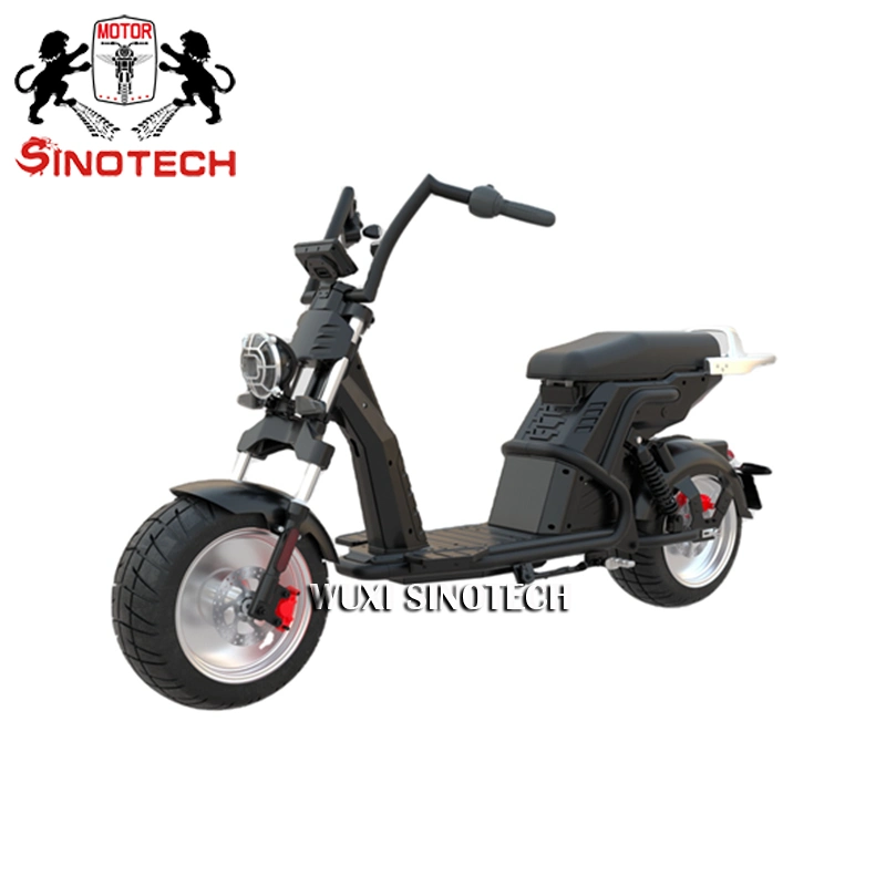 Made in China Moto Electrica 1000W Electric Dirt Bike