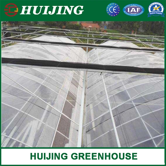 Cheap Customized UV Treated Plastic Film Greenhouse for Tomatoes