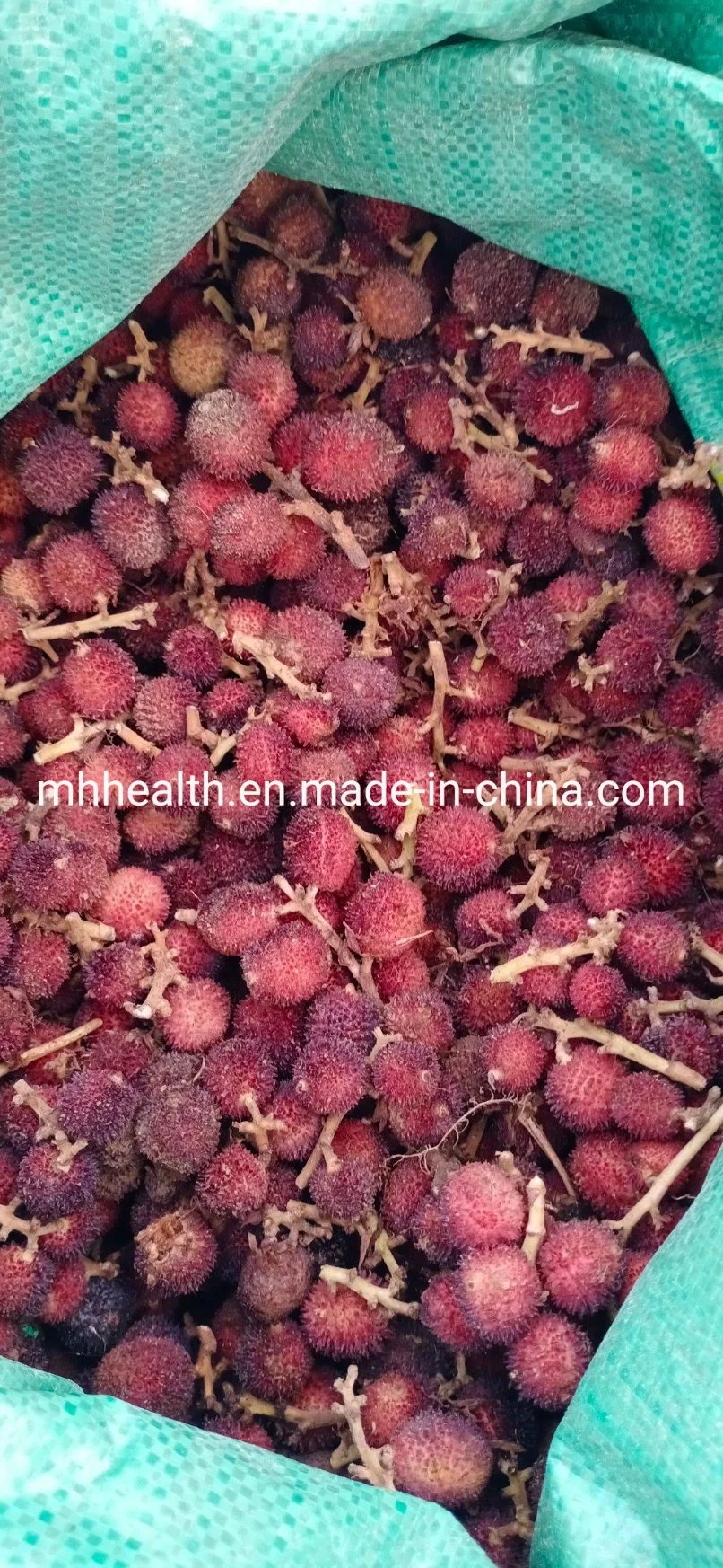 Sell 100% Pure Natural Medicine Amomum Villosum