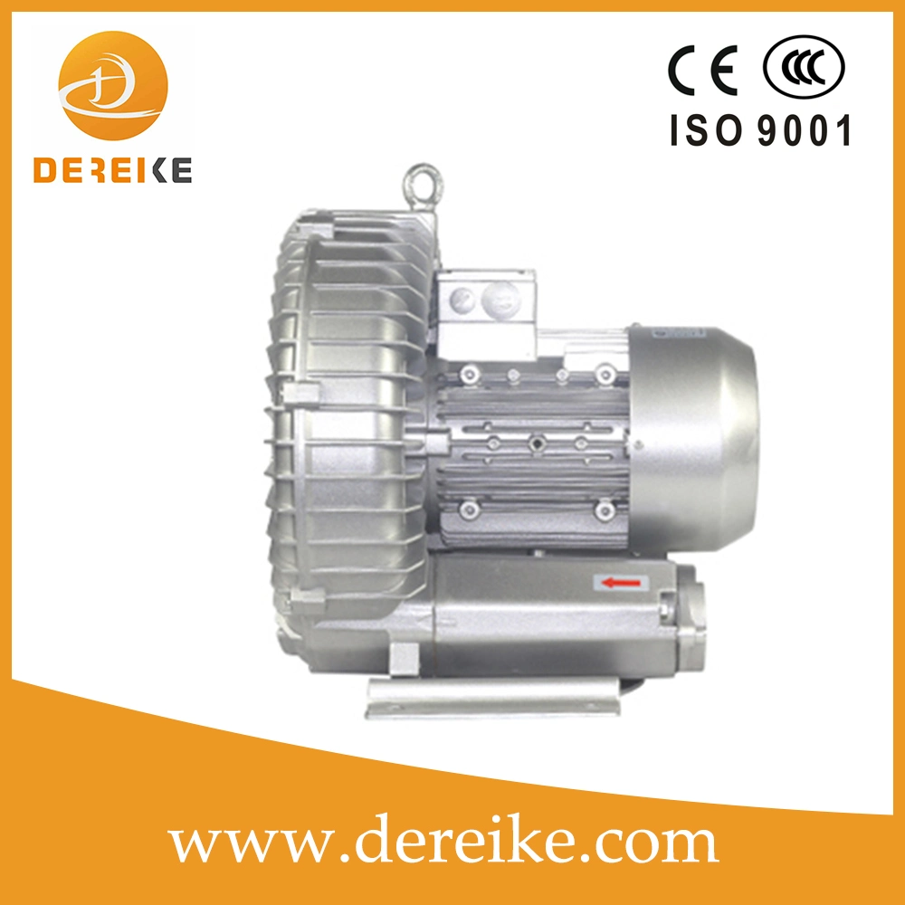 High Pressure Pump with 100mbar Pressure and Vacuum for The Swimming Pool Aerationa