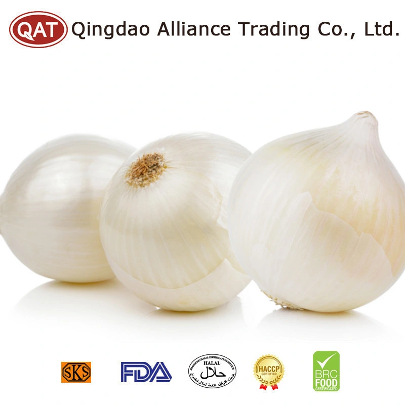 China Crop Peeled White Onion Fresh White Peeled Green Onion Peeled Yellow Onion with Top Quality