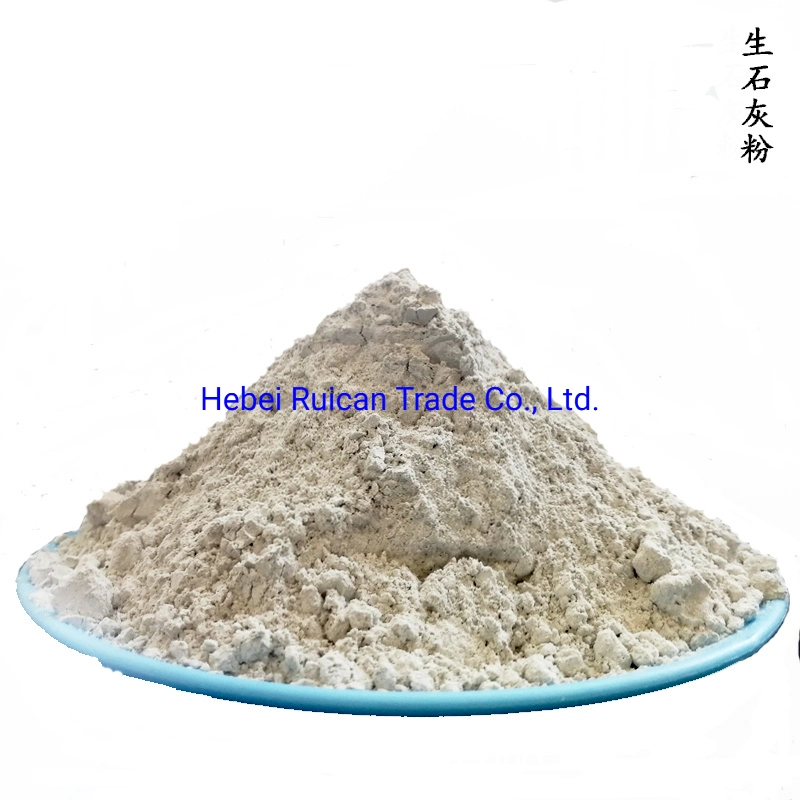 Food Grade Cao Calcium Oxide CAS No 1305-78-8 Factory Price