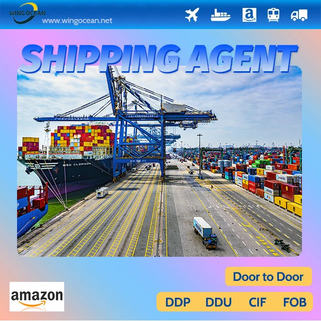 International Expertised Sea Freight Agent International Shipping Forwarder Shipping From China to Mexico/ Australia