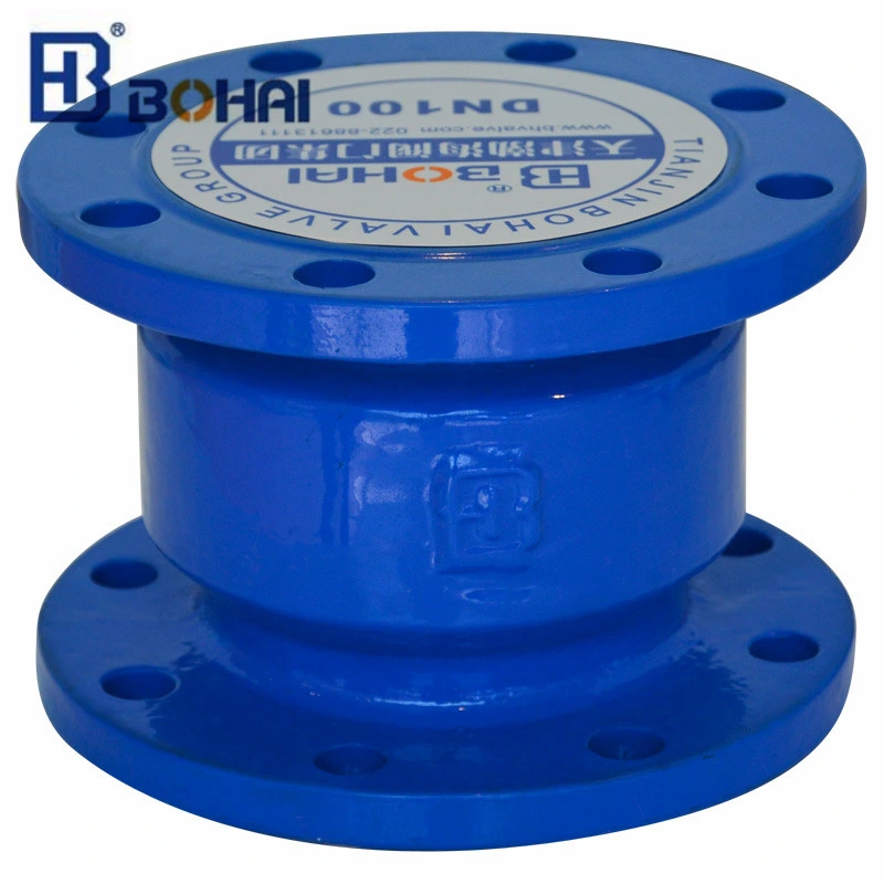 High Standard Flanged Silencing Check Valve DN80 Made in China