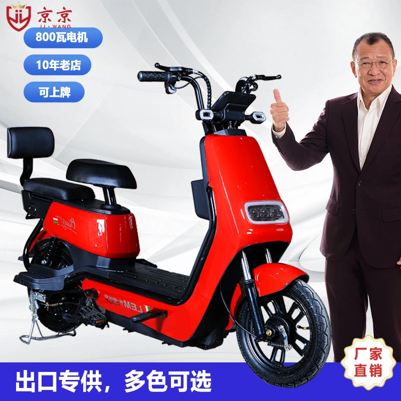 Adult Electric Scooters Portable Bicycle Fat Bike Dirt Ebike E Bike