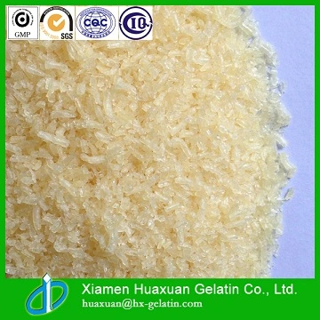 Pig Skin Gelatin for Hard Capsule