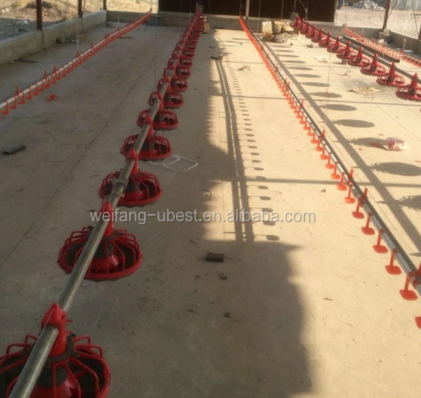 Automatic Poultry Feeding and Drinking System for Chicken Farm House Ground Floor Raising Keeping Equipment