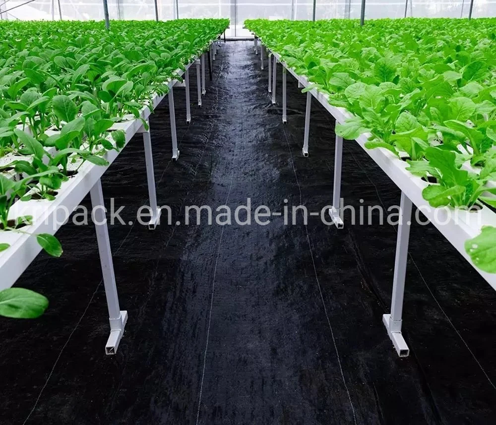 OEM Black/Green/White Color Agriculture Garden Anti UV PP Woven Geotextile Ground Cover Weedblock Control Barrier Landscape Fabric Weed Mat