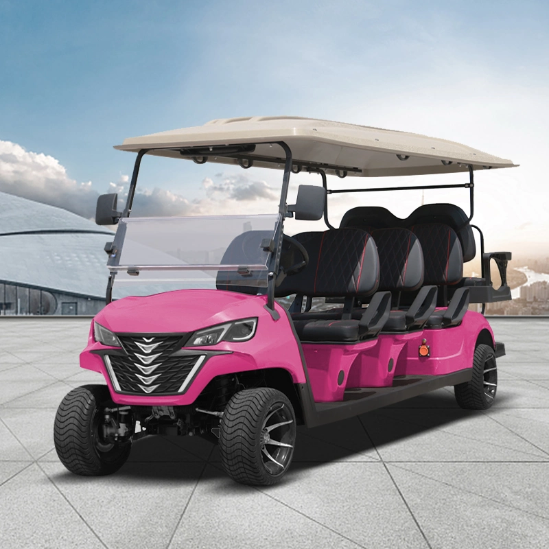 Muitos anos Factory Golf Cart 6 e 2 lugares Forge G6 mais 2 personalizado Buggy do Golf