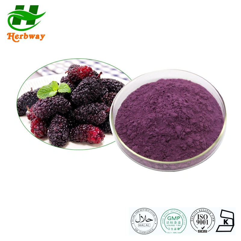 Herbway Free Probe koscher Halal FSSC HACCP zertifiziert Obst und Gemüsesaft Pulver Mulberry Fruit Extract Mulberry Fruit Powder